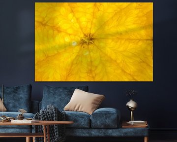 Sinasappel in close-up abstract van John van de Gazelle fotografie