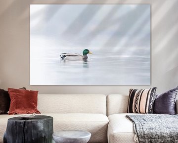 Canard sauvage dans le brouillard sur Ronald Buitendijk Fotografie