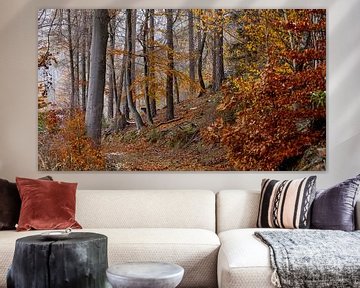 Herbstliche Farben des Waldes von Roland Brack