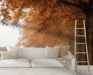 Herbst und Nebel