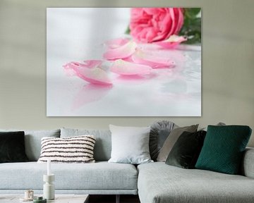 Roze roos en rozenblaadjes van Andrea Diepeveen