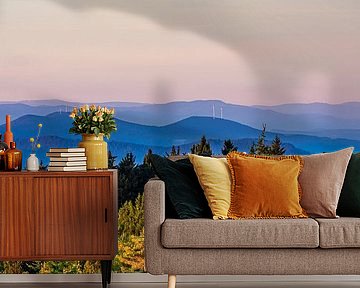 View from Schliffkopf over the Black Forest in the morning by Werner Dieterich