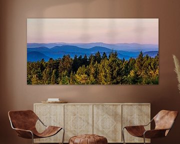 View from Schliffkopf over the Black Forest in the morning by Werner Dieterich