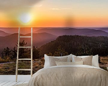 View from the Hornisgrinde over the Black Forest by Werner Dieterich