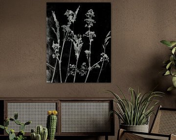 Sogni di fiori. Retro bloemen, planten en grassen in zwart-wit van Dina Dankers