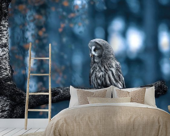 Aperçu de la chambre