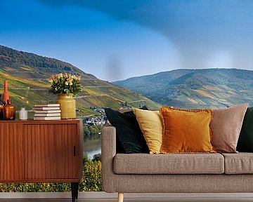 Merl aan de Moezel in Duitsland