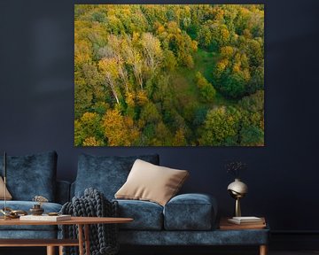 Forêt d'automne avec des feuilles colorées vues d'en haut sur Sjoerd van der Wal Photographie