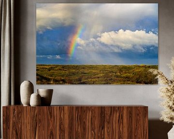 Regenbogen in den Dünen auf der Insel Texel in der Wattenmeerregion von Sjoerd van der Wal