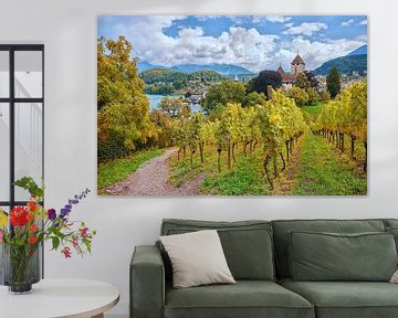 pad door herfstige wijngaard spiez, zwitserland van SusaZoom