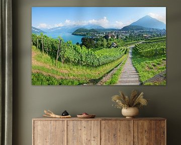 hiking path in the vineyard of spiez, view to lake Thunersee by SusaZoom