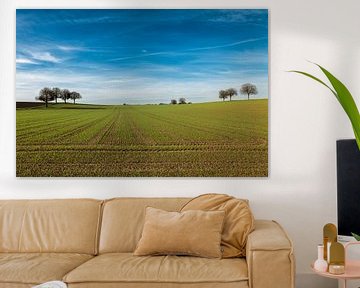 Bomen in een glooiend landschap met lange lijnen. van André Post