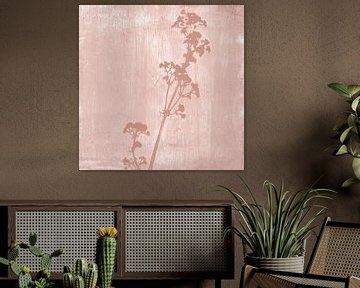 Illustration botanique de style rétro en rose corail sur Dina Dankers