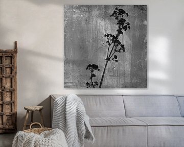 Illustration botanique en style rétro en noir et blanc sur Dina Dankers