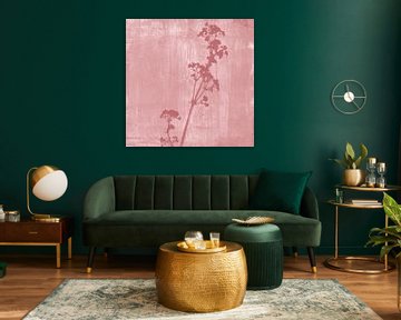 Botanical illustration in retro style in dark pink by Dina Dankers
