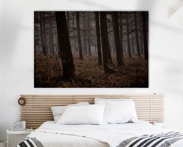 The woods IV