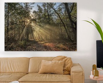 Lever de soleil dans la forêt de Speulders sur Adriaan Westra