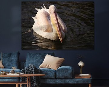 Pélican sur Patricia Kuiper