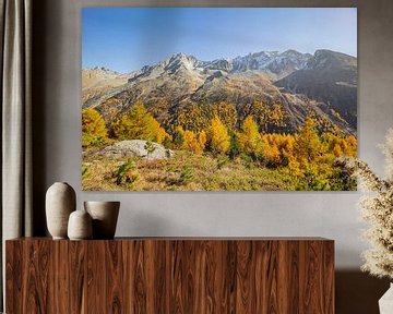 Mélèzes dorés et paysage à Arolla Valais