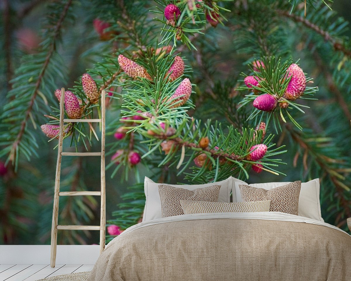 Raumvorschau