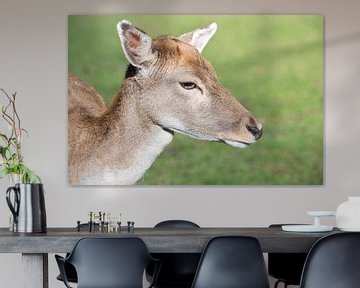 Head of a deer in the open by Ulrike Leone