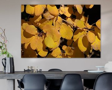 Achtergrond van gele herfstbladeren van Ulrike Leone