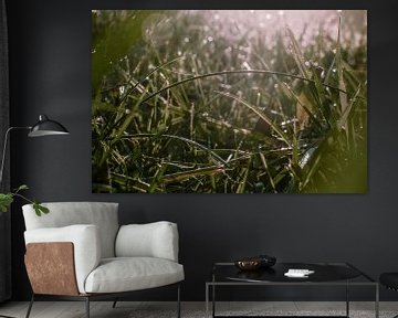 Eenvoudige Schoonheid: Ochtenddauw op een Grasveld bij Zonsopgang van Elianne van Turennout