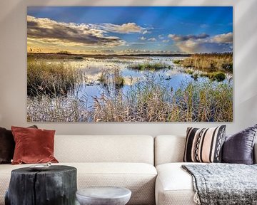 Callantsoog natuurgebied het Zwanenwater in de winter van eric van der eijk