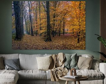 linksaf of rechtsaf in het herfst bos van peterheinspictures