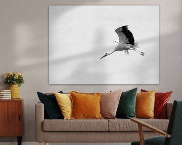 Stork in flight ( black and white ) by Jose Lok