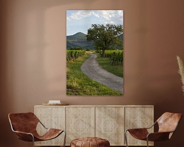 Wijngaard in de Elzas met de Vogezen op de achtergrond (staand)