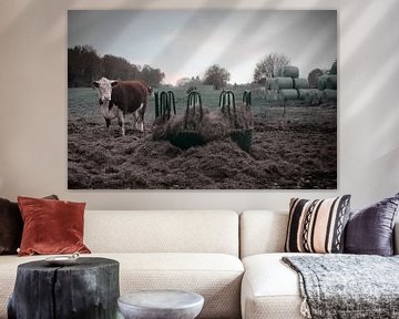 Blaarkop cow in the pasture by Elianne van Turennout