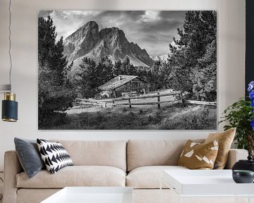 Hut with alpine pasture in the Alps in South Tyrol. Black and white image. by Manfred Voss, Schwarz-weiss Fotografie