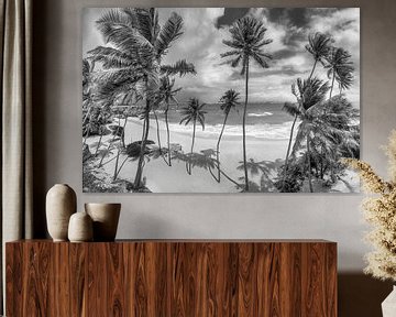 Strand met palmbomen op Barbados in het Caribisch gebied. Zwart-wit beeld van Manfred Voss, Schwarz-weiss Fotografie