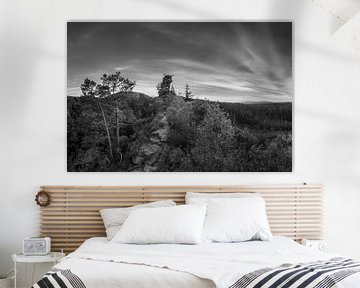 Coucher de soleil dans la forêt du Palatinat en noir et blanc sur Manfred Voss, Schwarz-weiss Fotografie