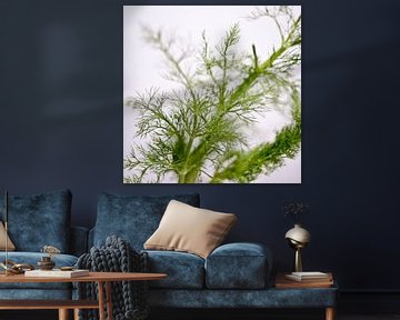 green of fennel by Toon Maes