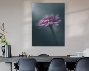 Chrysanthemum Time van Jacqueline Ermens