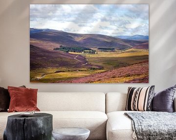 Purpurne Berge in Schottland von Meike de Regt