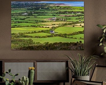 Dingle, Ierland, groen land, landschap met heggen van Huub de Bresser