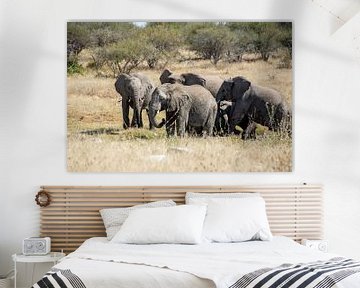 Elephants herd by Alex Neumayer