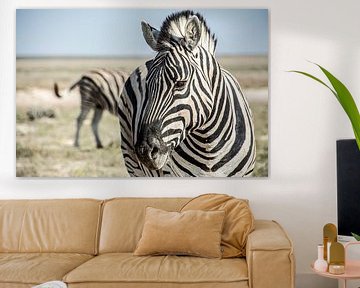 Zebra's in Etosha van Alex Neumayer
