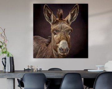 Portret van een ezel Illustratie van Animaflora PicsStock