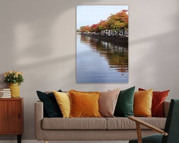 Fluss Dender Herbstfarbe, Aalst, Belgien von Imladris Images