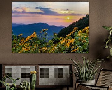 Sunset at a Thai Sunflower Field by Barbara Riedel