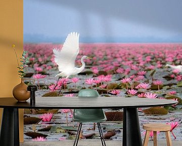 Kranich zwischen pinkem Lotus