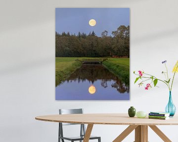Volle maan met spiegeling, Nederland van Adelheid Smitt