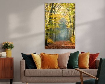 Goldene Farben und Nebel in einem Herbstwald von Kay Wils