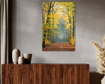 Golden colors and fog in an autumn forest by Kay Wils