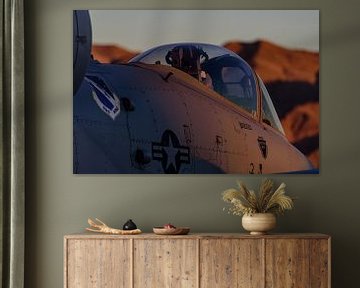 Kabinenhaube der Fairchild Republic A-10 Thunderbolt II. von Jaap van den Berg