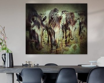 Warmbloed Paarden